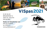 VISpas 2021