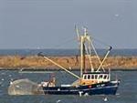 Uitspraak beroepszaak uitbreiding visrechten visserijbedrijf Timmerman