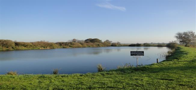 Karpervijver De Lake